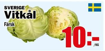 Matdax Vitkål erbjuda