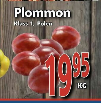 Plommon