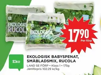 Willys Ekologisk babyspenat, småbladsmix, rucola erbjuda