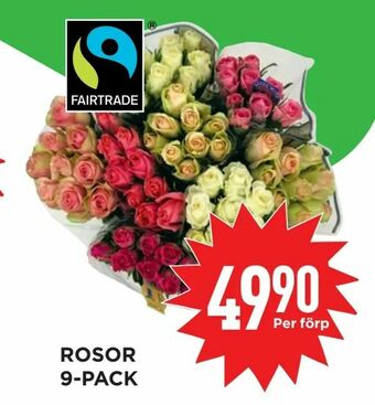 Willys Hemma Rosor 9-pack erbjuda