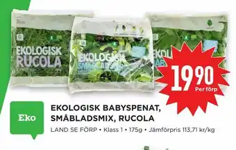 Willys Hemma Ekologisk babyspenat, småbladsmix, rucola erbjuda