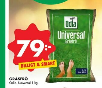 ÖoB Gräsfrö erbjuda