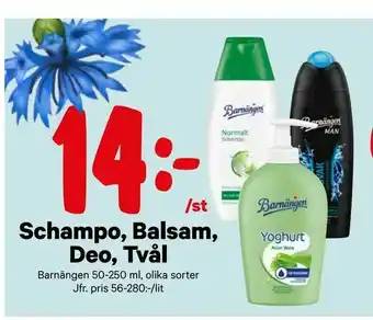 City Gross Schampo, Balsam, Deo, Tvål erbjuda