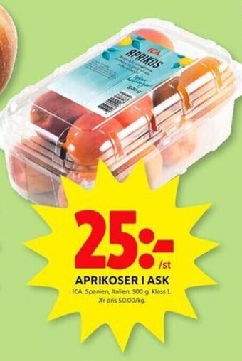 ICA Kvantum APRIKOSER I ASK erbjuda