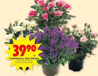 ICA Kvantum CAMPANULA, ROS I KRUKA erbjuda