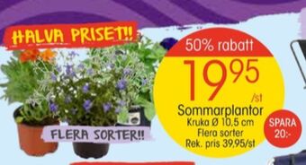 EKO Plantor erbjuda