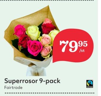 Hemköp Garant blommor erbjuda