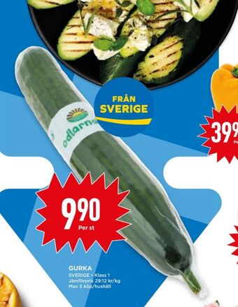 Willys Hemma Odlarna.se gurka erbjuda