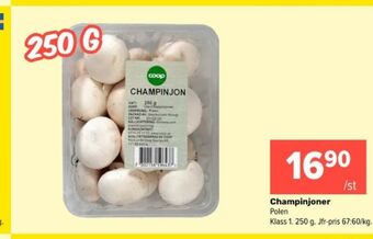 Coop Extra Coop champinjoner erbjuda