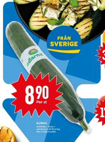 Willys Odlarna.se gurka erbjuda