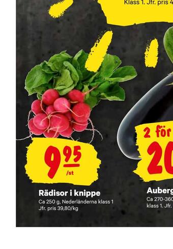City Gross Rädisor i knippe erbjuda