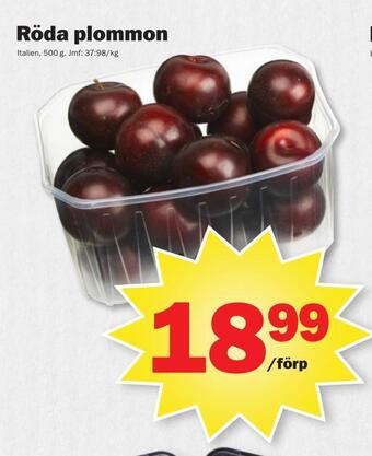 Pekås Röda plommon erbjuda