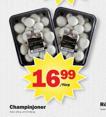 Pekås Champinjoner erbjuda