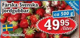 Färska svenska jordgubbar