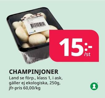 Tempo Champinjoner erbjuda