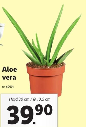 Lidl Aloe vera erbjuda