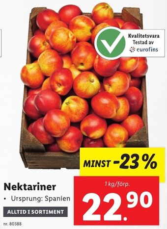Lidl Nektariner erbjuda