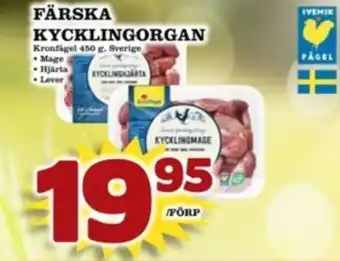 Matdax Kronfågel kycklingmage erbjuda