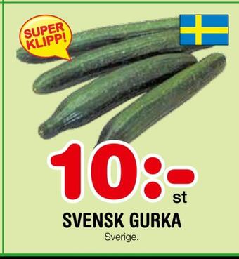 Nya Pulsen Svensk gurka erbjuda