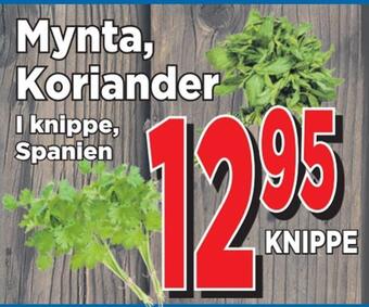 Supergrossen Mynta, koriander erbjuda