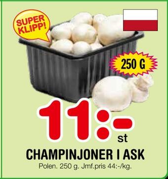Nya Pulsen Champinjoner i ask erbjuda
