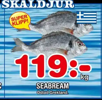 Nya Pulsen Seabream erbjuda