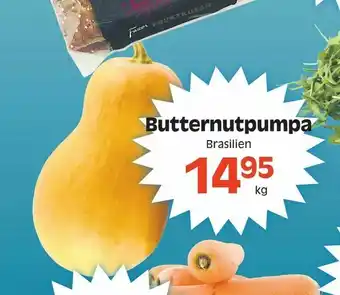 Butternutpumpa