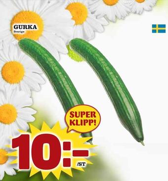 Nya Pulsen Gurka erbjuda