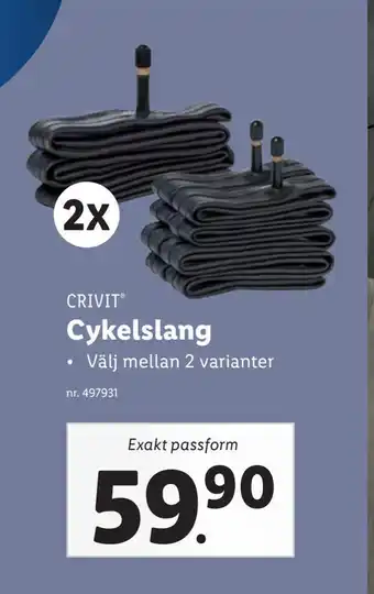 Cykelslang