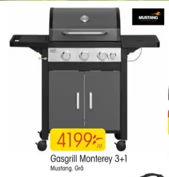 EKO Mustang gasolgrill erbjuda