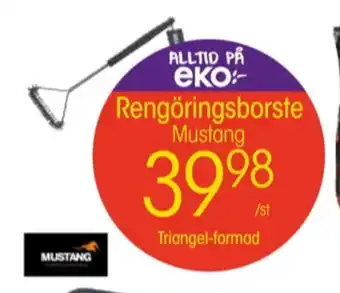 EKO Mustang grillborste erbjuda