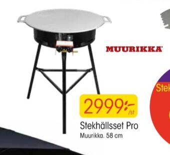 EKO Muurikka stekhäll erbjuda