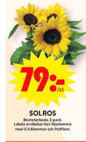 ICA Maxi Blomsterboda plantor erbjuda