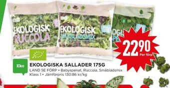 Willys Hemma Garant sallat erbjuda