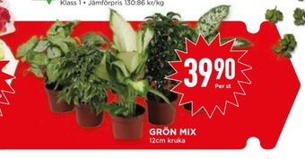 Willys Hemma Garant krukväxt erbjuda