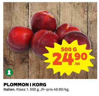 Coop Daglivs Plommon i korg erbjuda