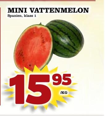 Supergrossen Mini vattenmelon erbjuda