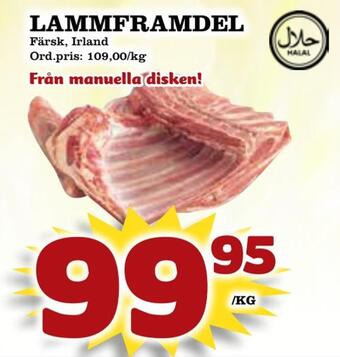 Supergrossen Lammframdel erbjuda
