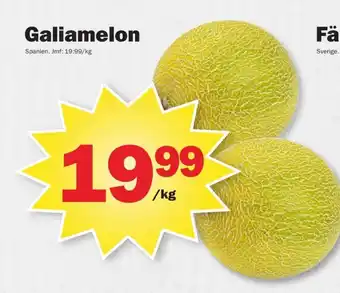 Änglamark galiamelon