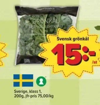 Östenssons Eldorado grönkål erbjuda