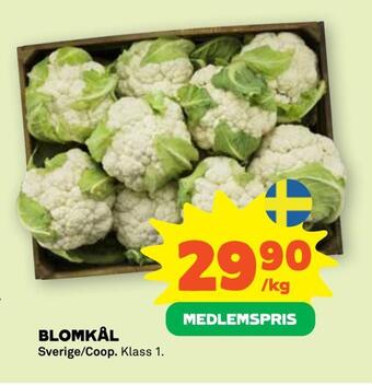 Stora Coop Blomkål erbjuda