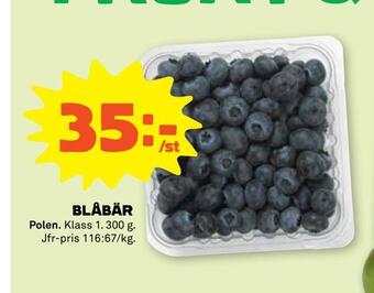 Blåbär