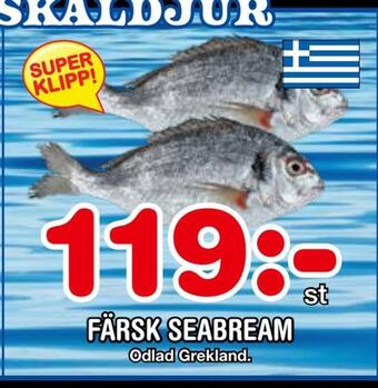 Nya Pulsen Färsk seabream erbjuda