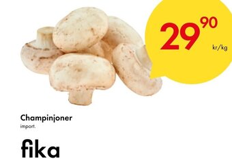 Snabbgross Champinjoner erbjuda