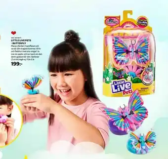 Little live pets - butterfly
