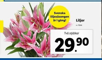 Lidl Liljor erbjuda