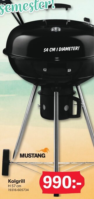 DollarStore Kolgrill erbjuda