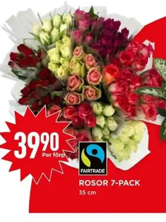 Willys ROSOR 7-PACK 35 cm erbjuda