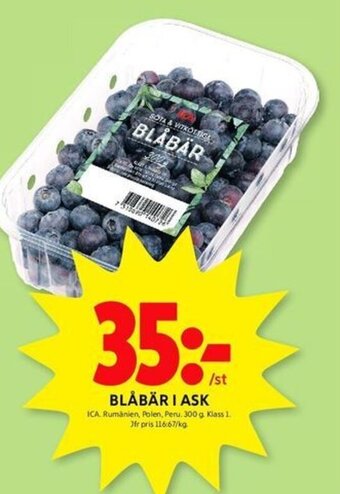 ICA Kvantum BLÅBÄR I ASK erbjuda