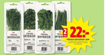 ICA Kvantum FÄRSKA KRYDDOR I ASK erbjuda